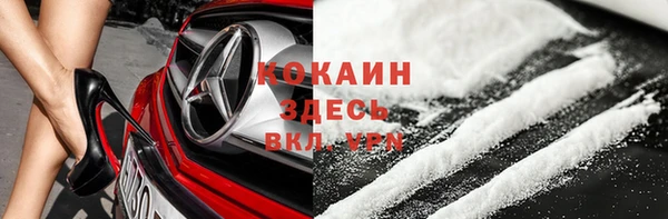 хмурый Верея