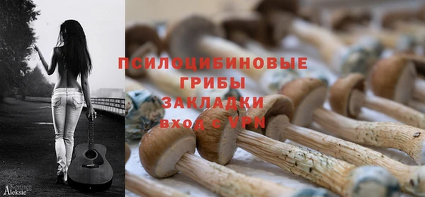 хмурый Верея