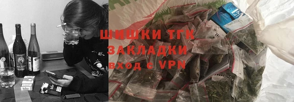хмурый Верея