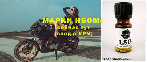 хмурый Верея