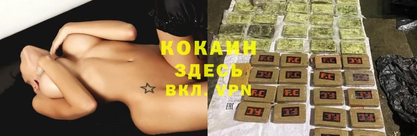 хмурый Верея