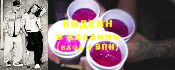 хмурый Верея