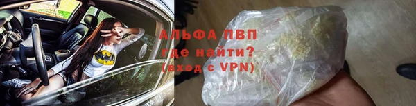 хмурый Верея