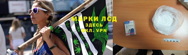 хмурый Верея