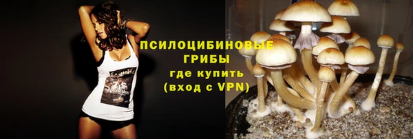 ПСИЛОЦИБИНОВЫЕ ГРИБЫ Верхнеуральск