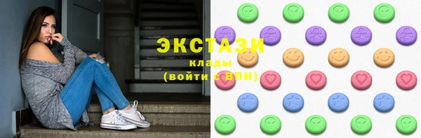ECSTASY Бородино
