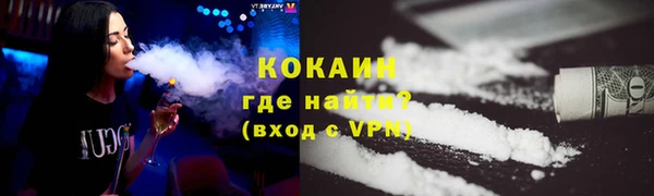 хмурый Верея