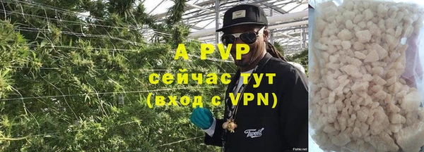 хмурый Верея