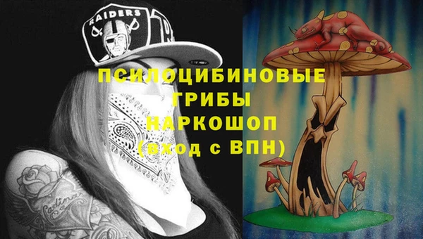 ПСИЛОЦИБИНОВЫЕ ГРИБЫ Верхнеуральск