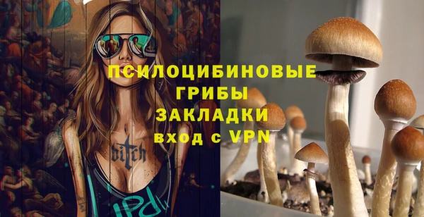 ПСИЛОЦИБИНОВЫЕ ГРИБЫ Верхнеуральск