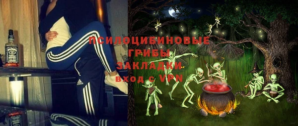 ПСИЛОЦИБИНОВЫЕ ГРИБЫ Верхнеуральск