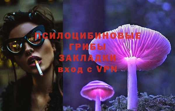 хмурый Верея