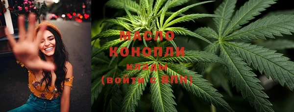 хмурый Верея