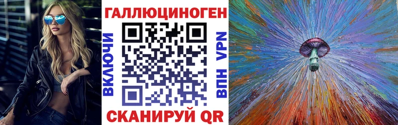 Псилоцибиновые грибы Cubensis Ессентукская