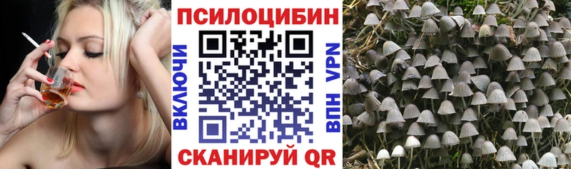 закладка  Ессентукская  мега tor  Галлюциногенные грибы мухоморы 