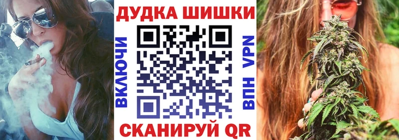 Канабис конопля  Ессентукская 